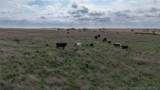 0002 336 Road - Photo 38