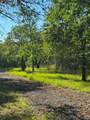  County Road 3647 Road - Photo 14