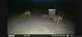 958 Buffalo Road - Photo 11