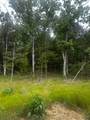 958 Buffalo Road - Photo 16