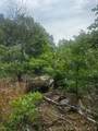 958 Buffalo Road - Photo 34