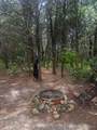 958 Buffalo Road - Photo 38