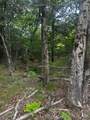 958 Buffalo Road - Photo 56