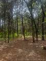 958 Buffalo Road - Photo 59