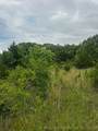 958 Buffalo Road - Photo 60