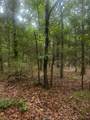 958 Buffalo Road - Photo 65
