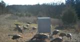 958 Buffalo Road - Photo 9