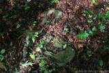 99616 4707 - Photo 13