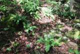 99616 4707 - Photo 25