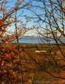  1 Mile Road - Photo 1