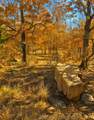  1 Mile Road - Photo 4