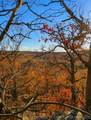  1 Mile Road - Photo 5