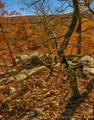  1 Mile Road - Photo 6