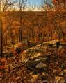  1 Mile Road - Photo 7