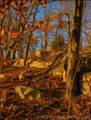 1 Mile Road - Photo 8