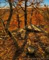  1 Mile Road - Photo 9