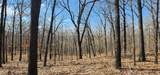 13780 4220 Road - Photo 10