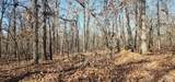13780 4220 Road - Photo 11