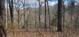 13780 4220 Road - Photo 12