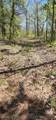 13780 4220 Road - Photo 15