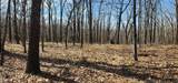 13780 4220 Road - Photo 7