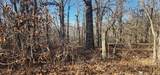 13780 4220 Road - Photo 8