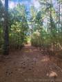 County Road - Photo 10