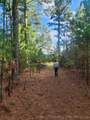 County Road - Photo 11