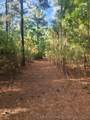  County Road - Photo 12