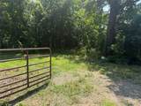29855 585 Road - Photo 5