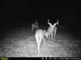 00 4710 Road - Photo 4