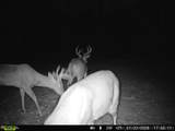 00 4710 Road - Photo 7