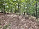 16191 Black Walnut Road - Photo 12