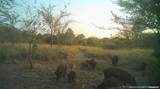113327 4135 Road - Photo 11