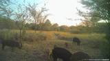 113327 4135 Road - Photo 12