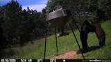 44374 509 Street - Photo 10