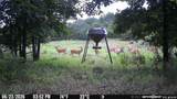 44374 509 Street - Photo 7