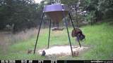 44374 509 Street - Photo 81