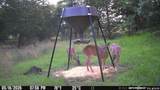 44374 509 Street - Photo 82
