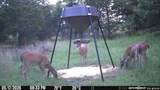 44374 509 Street - Photo 83