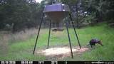 44374 509 Street - Photo 84