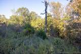 4 Coal Creek - Photo 39