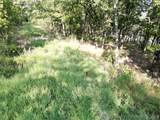 4 Coal Creek - Photo 51