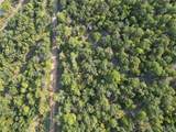4 Coal Creek - Photo 57