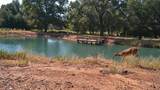 1552 Green Acres Road - Photo 17