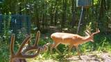 1552 Green Acres Road - Photo 36