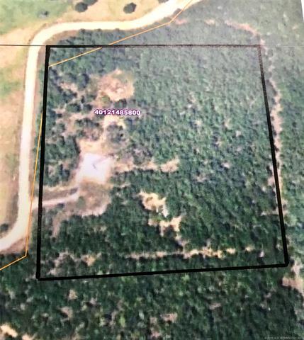 Arrowhead Shores Road - Photo 1