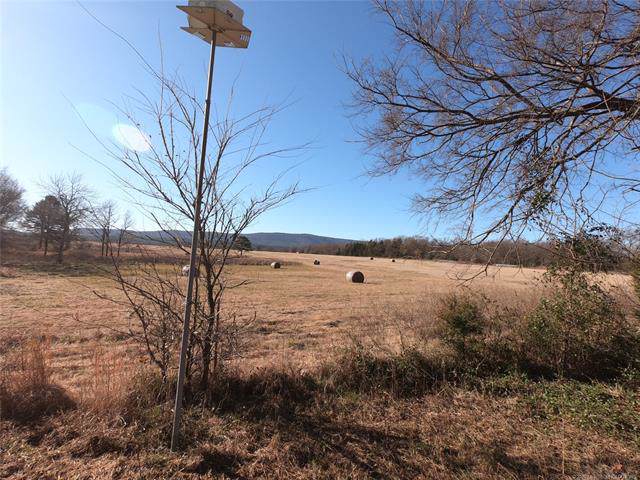 0 Reichert Summerfield Road - Photo 1