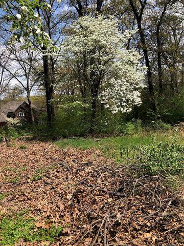 Shade Tree Street - Photo 1