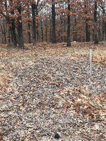 1540 Lakeside Ridge Drive - Photo 1